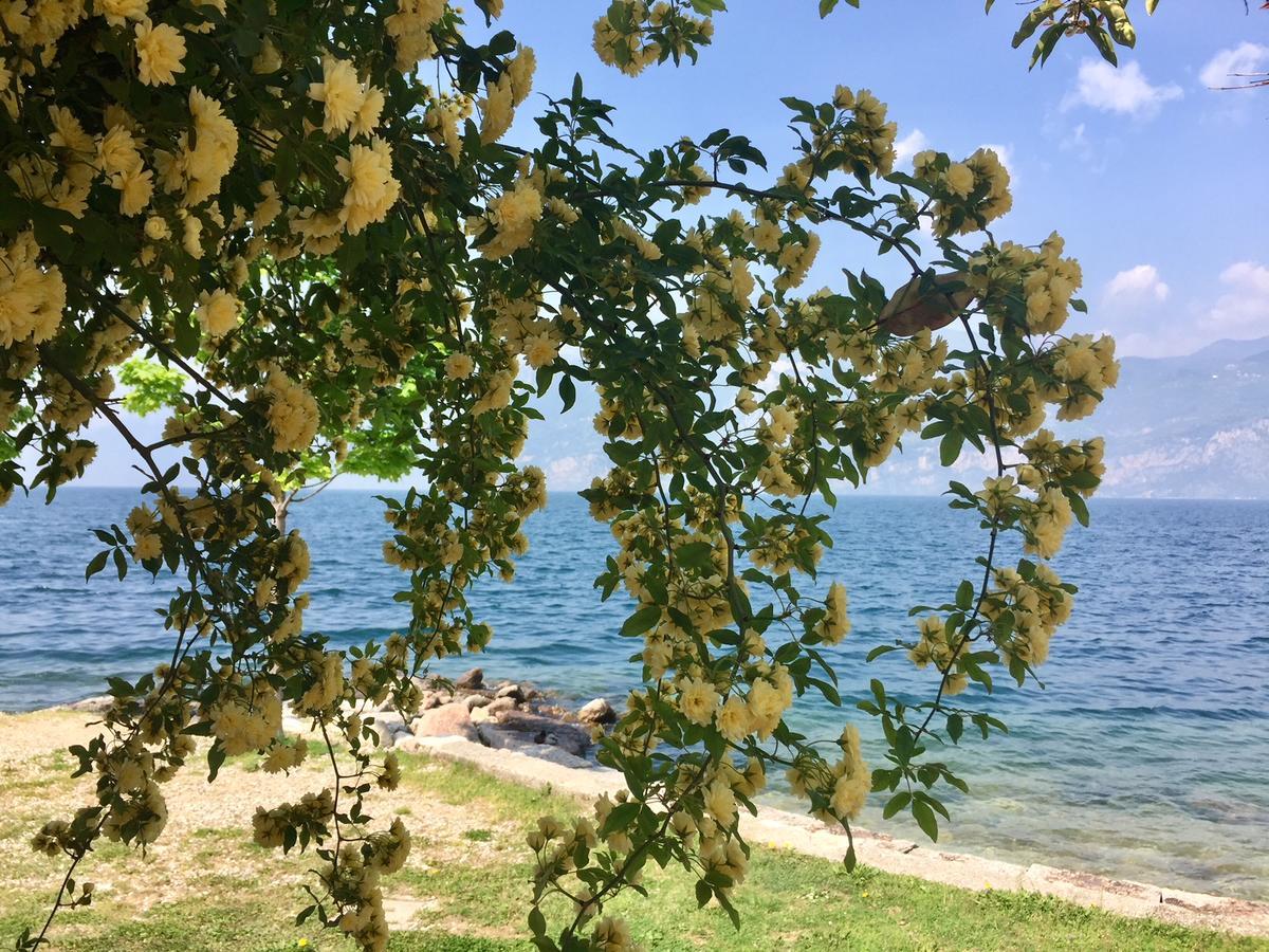 Piccolo Hotel Direkt Am See Brenzone sul Garda Exteriér fotografie
